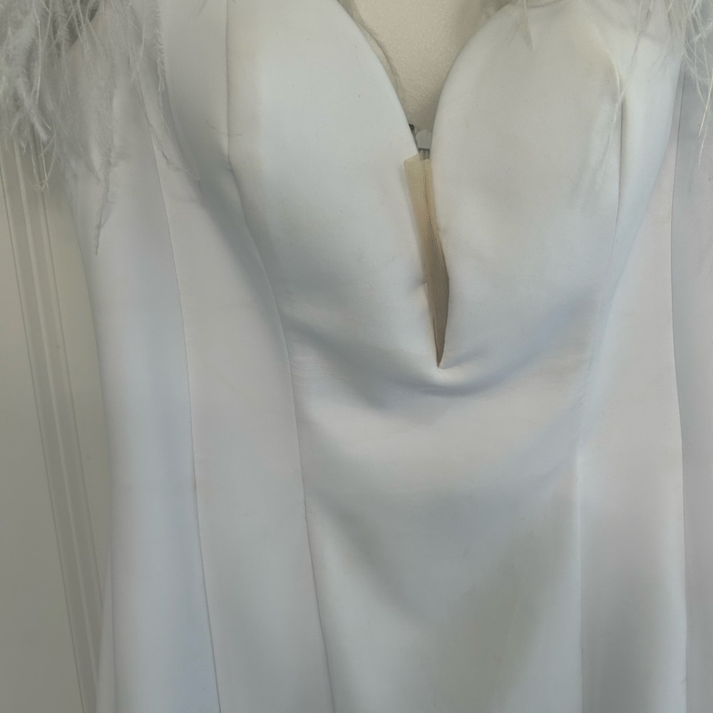 Ashley Lauren Cocktail Dress with Feather Shoulders. Size 10. - Picture 4 of 6
